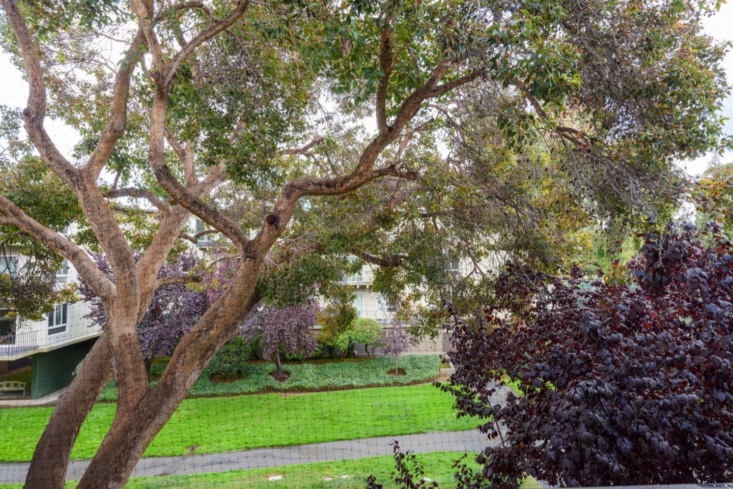 821 N Humboldt St Apt 314, San Mateo, CA 94401 photo 12