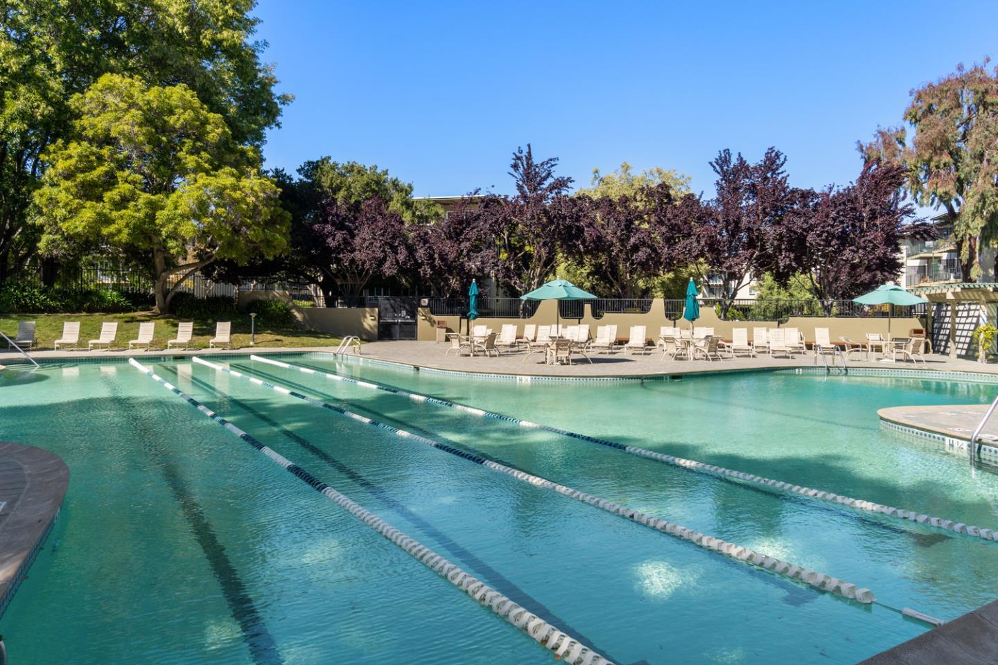 821 N Humboldt St Apt 314, San Mateo, CA 94401 photo 14