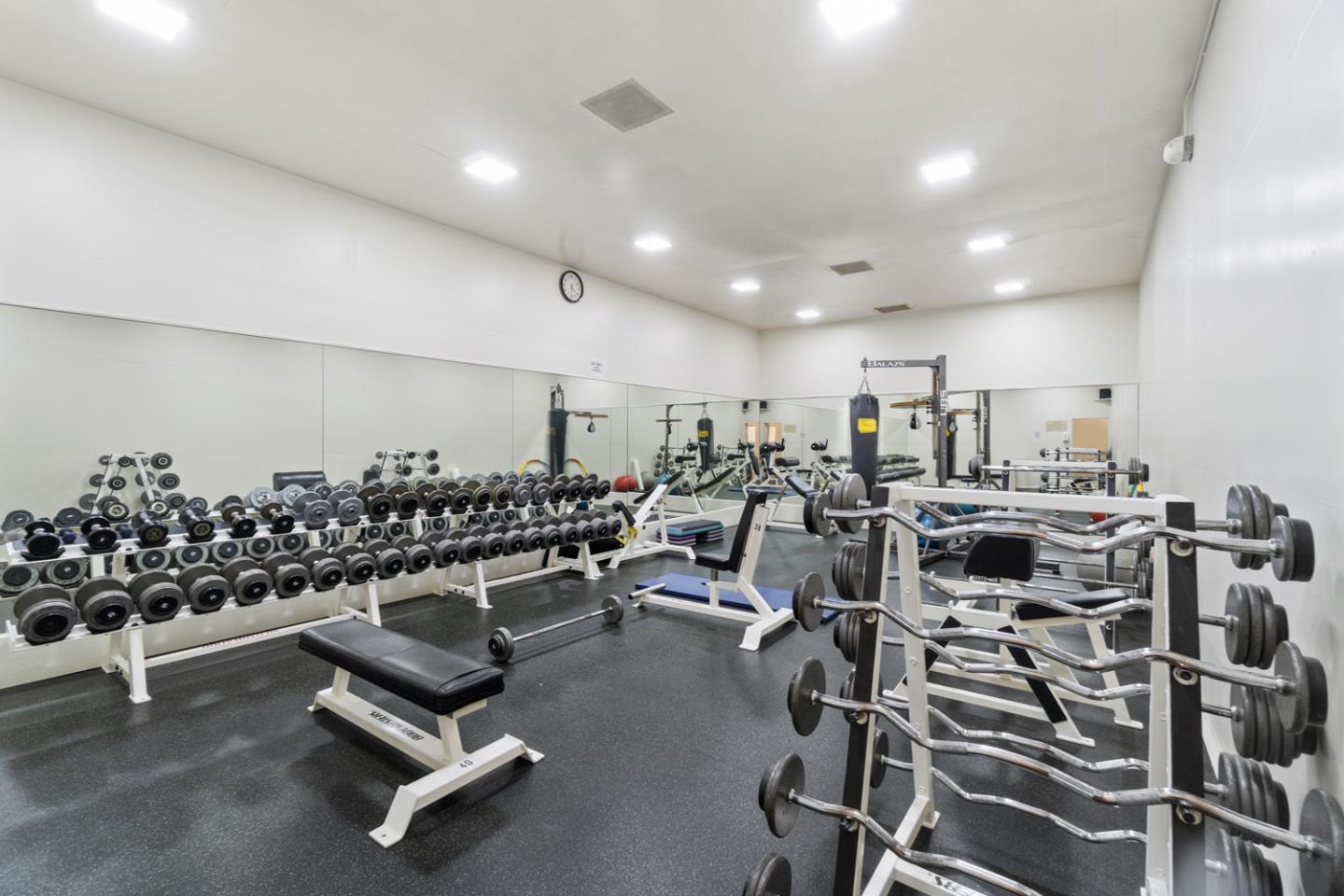 821 N Humboldt St Apt 314, San Mateo, CA 94401 photo 16