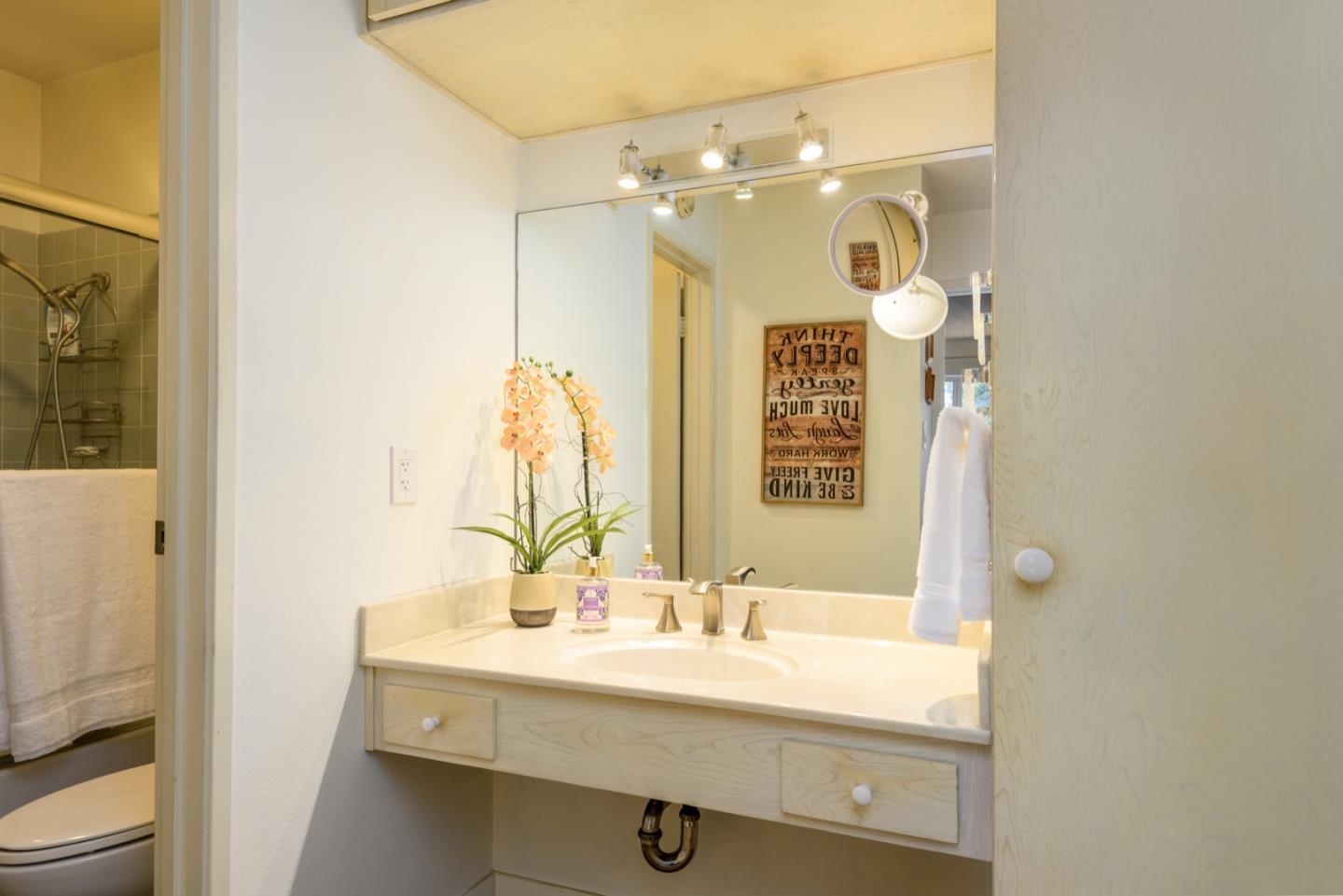 821 N Humboldt St Apt 314, San Mateo, CA 94401 photo 9