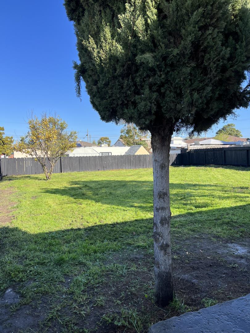 Detail Gallery Image 10 of 10 For 1435 First Ave, Salinas,  CA 93905 - 2 Beds | 1 Baths