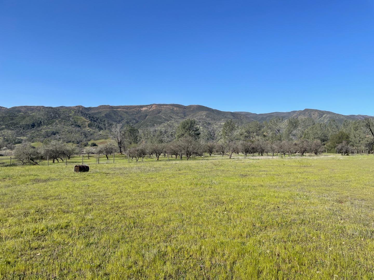 14851-5 Cr 41a, Rumsey, CA 95679