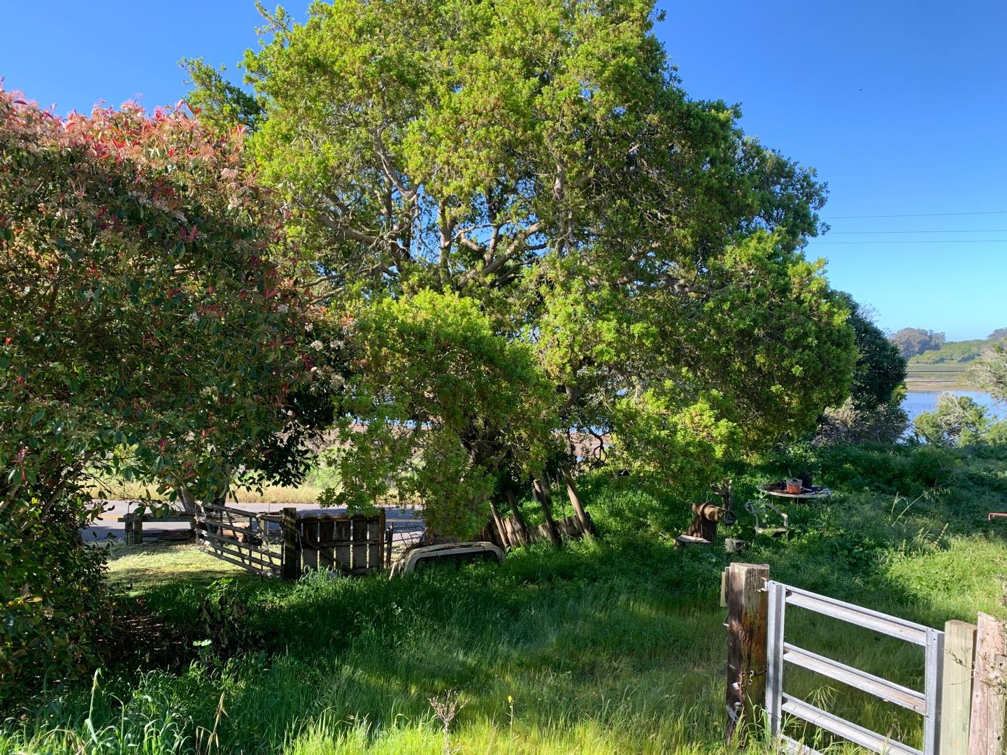 1049 Elkhorn Rd, Royal Oaks, CA 95076 Beds Baths