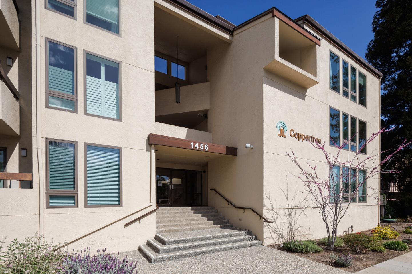 Detail Gallery Image 1 of 1 For 1456 San Carlos Ave #205,  San Carlos,  CA 94070 - 2 Beds | 2 Baths