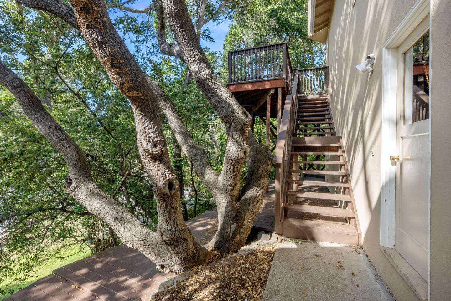 Detail Gallery Image 50 of 57 For 55 Treetop Ln, San Mateo,  CA 94402 - 3 Beds | 2/1 Baths