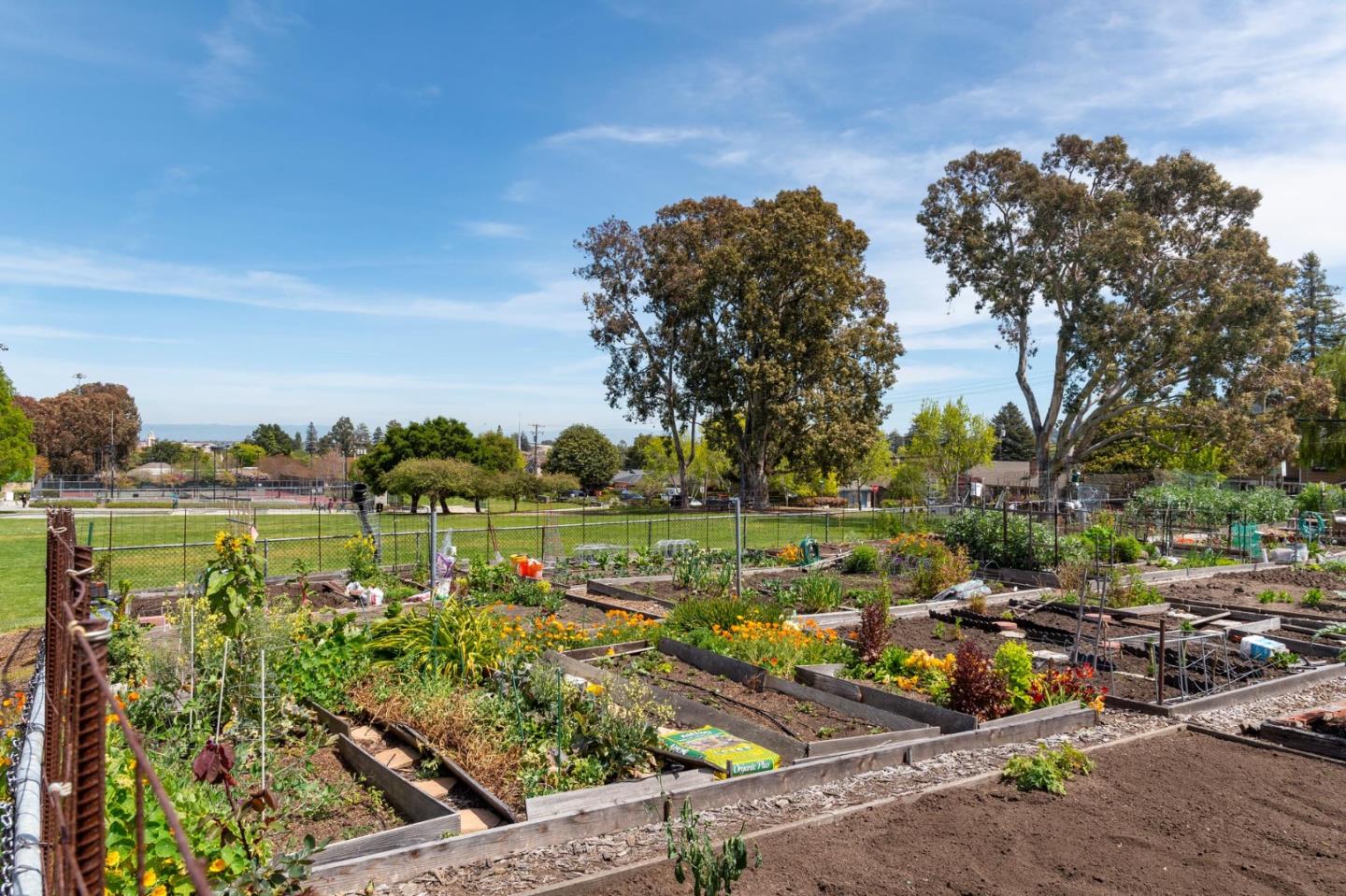 Detail Gallery Image 50 of 58 For 419 Buena Vista Ave, San Mateo,  CA 94403 - 4 Beds | 3 Baths