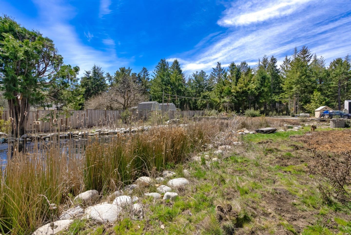 Detail Gallery Image 13 of 53 For 335 Braemoor Dr, Santa Cruz,  CA 95060 - 1 Beds | 1 Baths