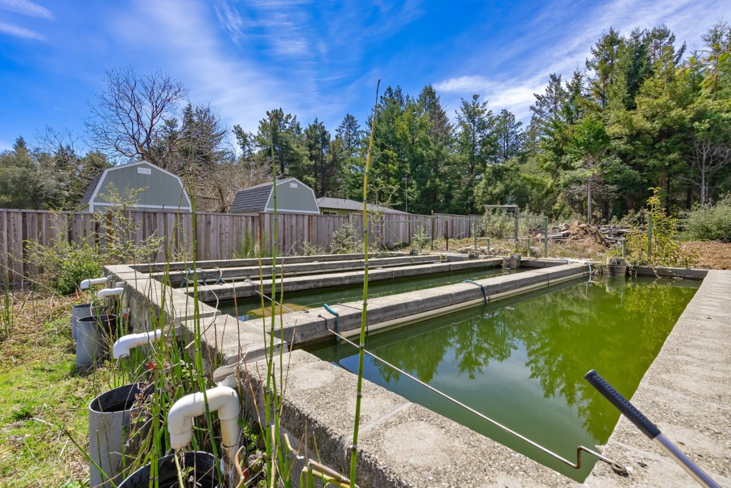 Detail Gallery Image 16 of 53 For 335 Braemoor Dr, Santa Cruz,  CA 95060 - 1 Beds | 1 Baths