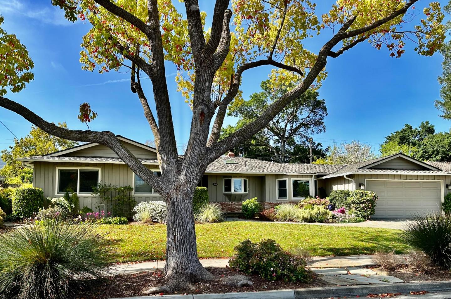 Detail Gallery Image 1 of 1 For 830 Cherrystone Dr, Los Gatos,  CA 95032 - 4 Beds | 2/1 Baths