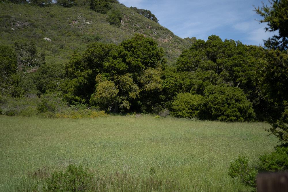 Photo of 100 Old Stage Rd in San Juan Bautista, CA
