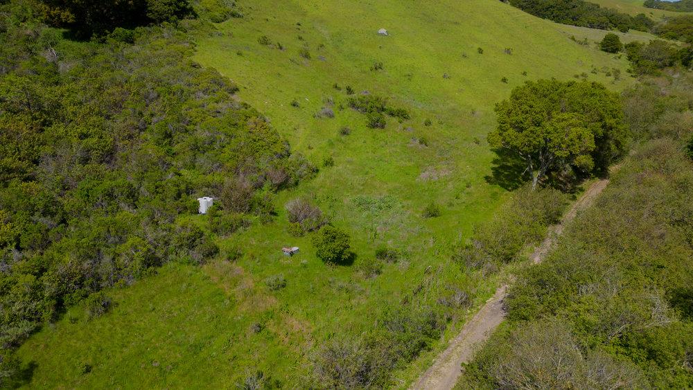 100 Old Stage Road, San Juan Bautista, CA 95045 Beds Baths