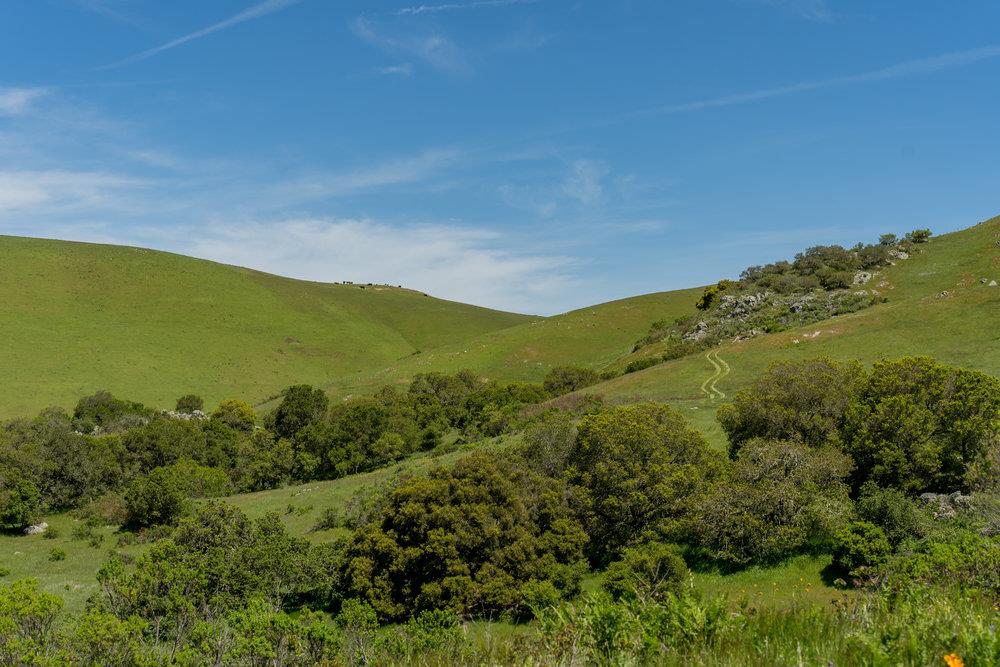100 Old Stage Road, San Juan Bautista, CA 95045 Beds Baths