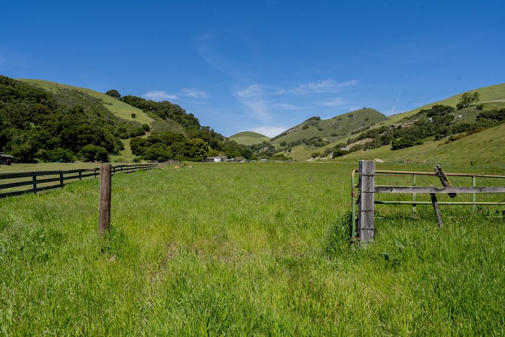 100 Old Stage Road, San Juan Bautista, CA 95045 Beds Baths