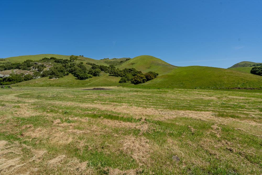 100 Old Stage Road, San Juan Bautista, CA 95045 Beds Baths