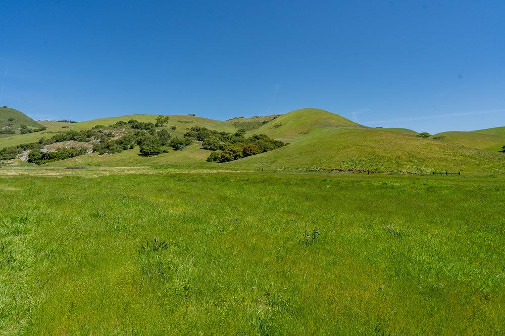 100 Old Stage Road, San Juan Bautista, CA 95045 Beds Baths