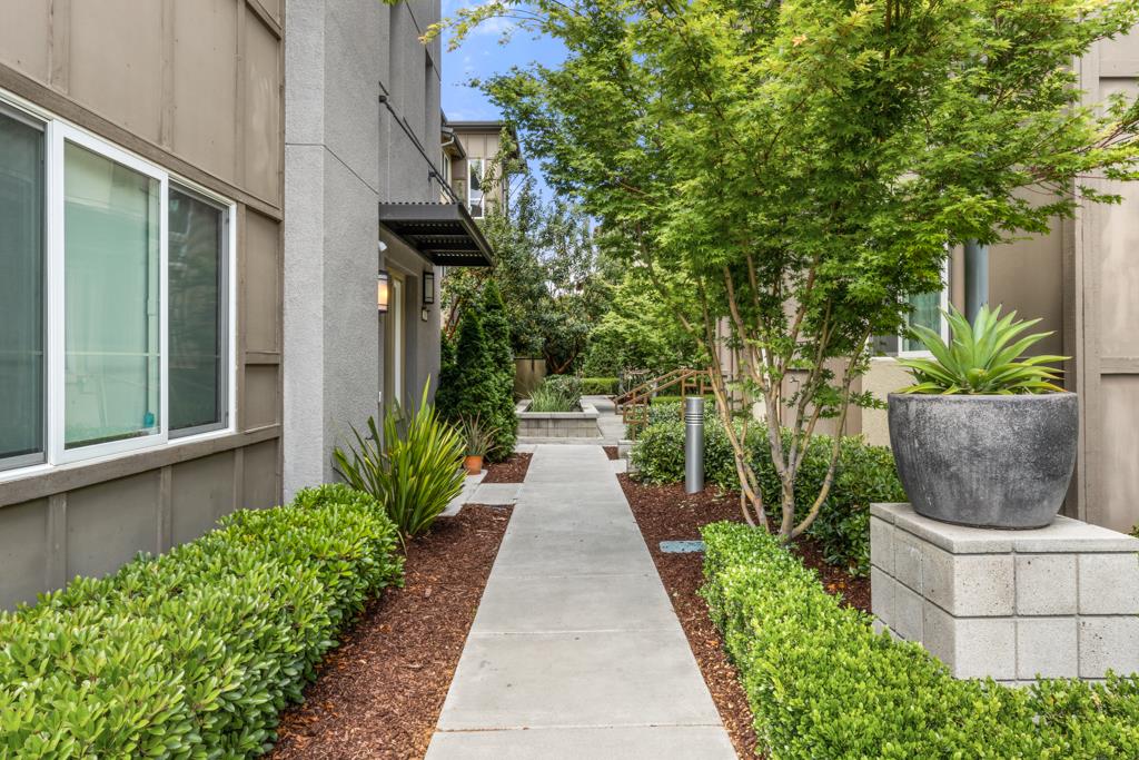 Detail Gallery Image 1 of 1 For 295 Odyssey Ln, Milpitas,  CA 95035 - 2 Beds | 2 Baths