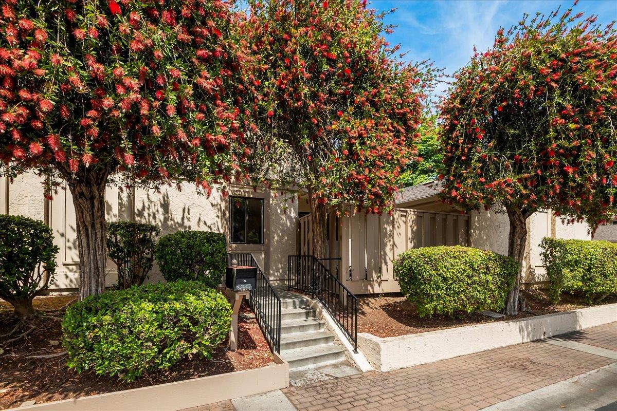 Detail Gallery Image 1 of 1 For 20604 Mapletree Pl, Cupertino,  CA 95014 - 3 Beds | 2/1 Baths