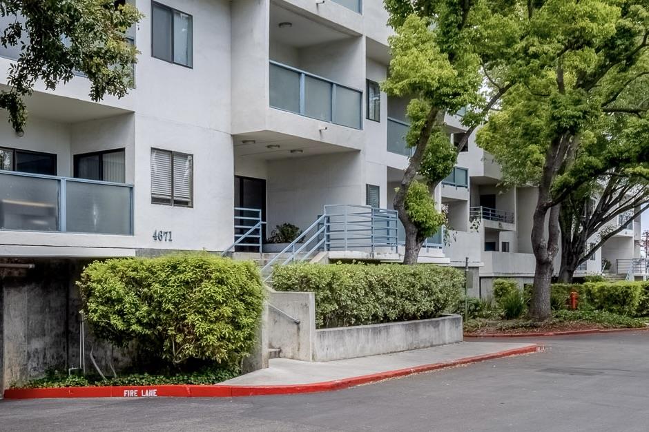 Detail Gallery Image 1 of 1 For 4671 Albany Cir #115,  San Jose,  CA 95129 - 1 Beds | 1 Baths