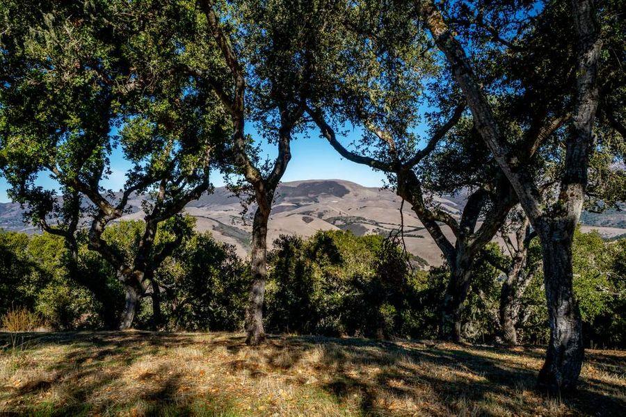 Photo of 17114 Cachagua Rd in Carmel Valley, CA