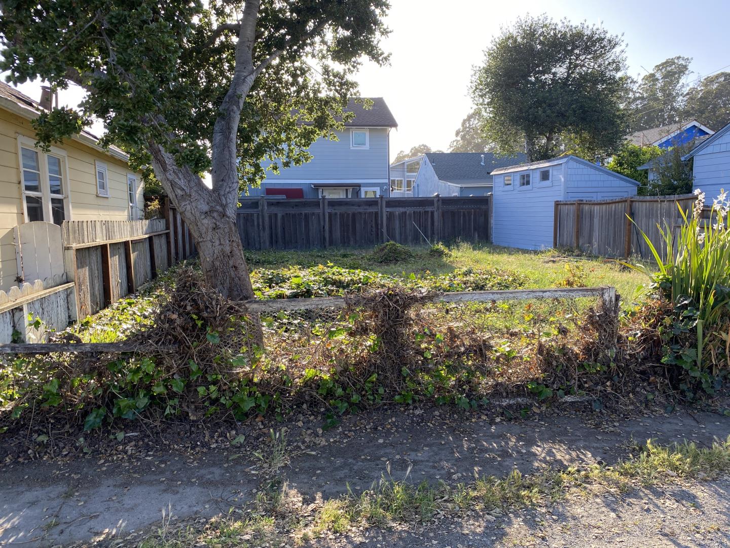 Front Image Thumbnail for ML81931899