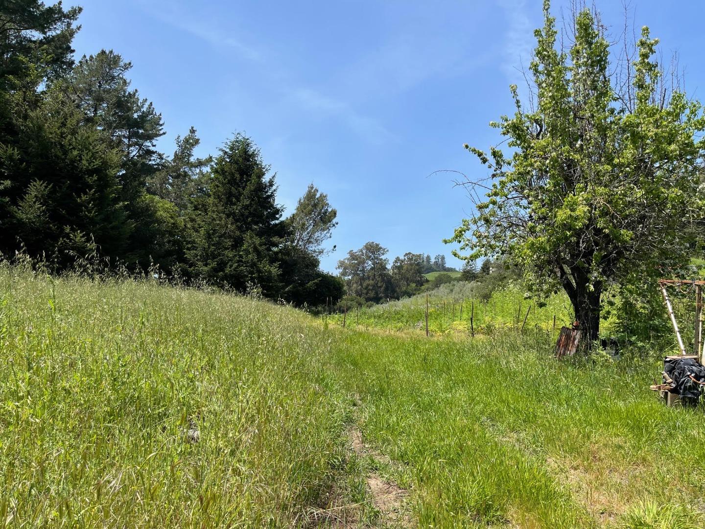 Detail Gallery Image 5 of 27 For 221 Peckham Rd, Watsonville,  CA 95076 - 1 Beds | 1 Baths