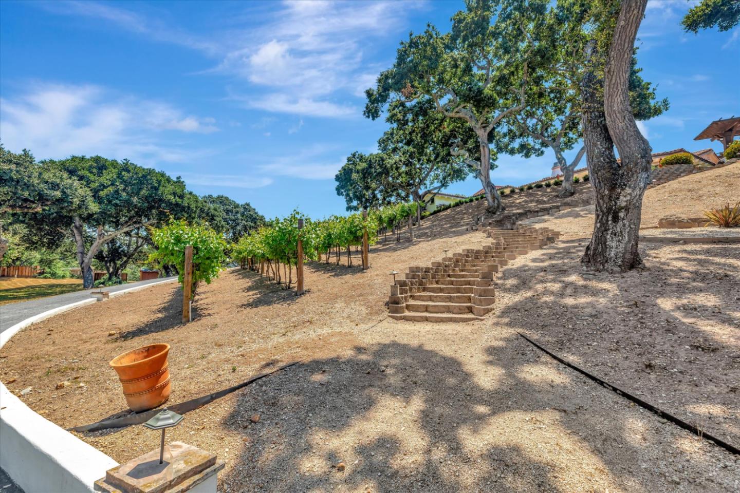 3000 San Juan Canyon Rd, San Juan Bautista, CA 95045 5 Beds 4/2 Baths (Active) ML81933141