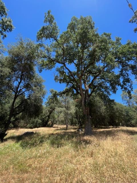 Photo of 0 Horizon Pass in Somerset, CA
