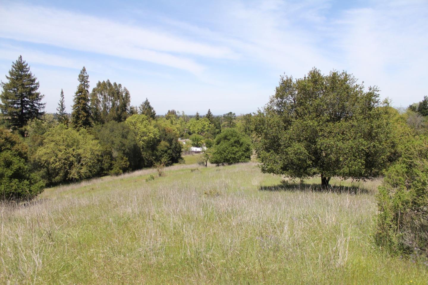 Detail Gallery Image 9 of 11 For 170 Twin Oaks Dr, Los Gatos,  CA 95032 - 6 Beds | 4/1 Baths