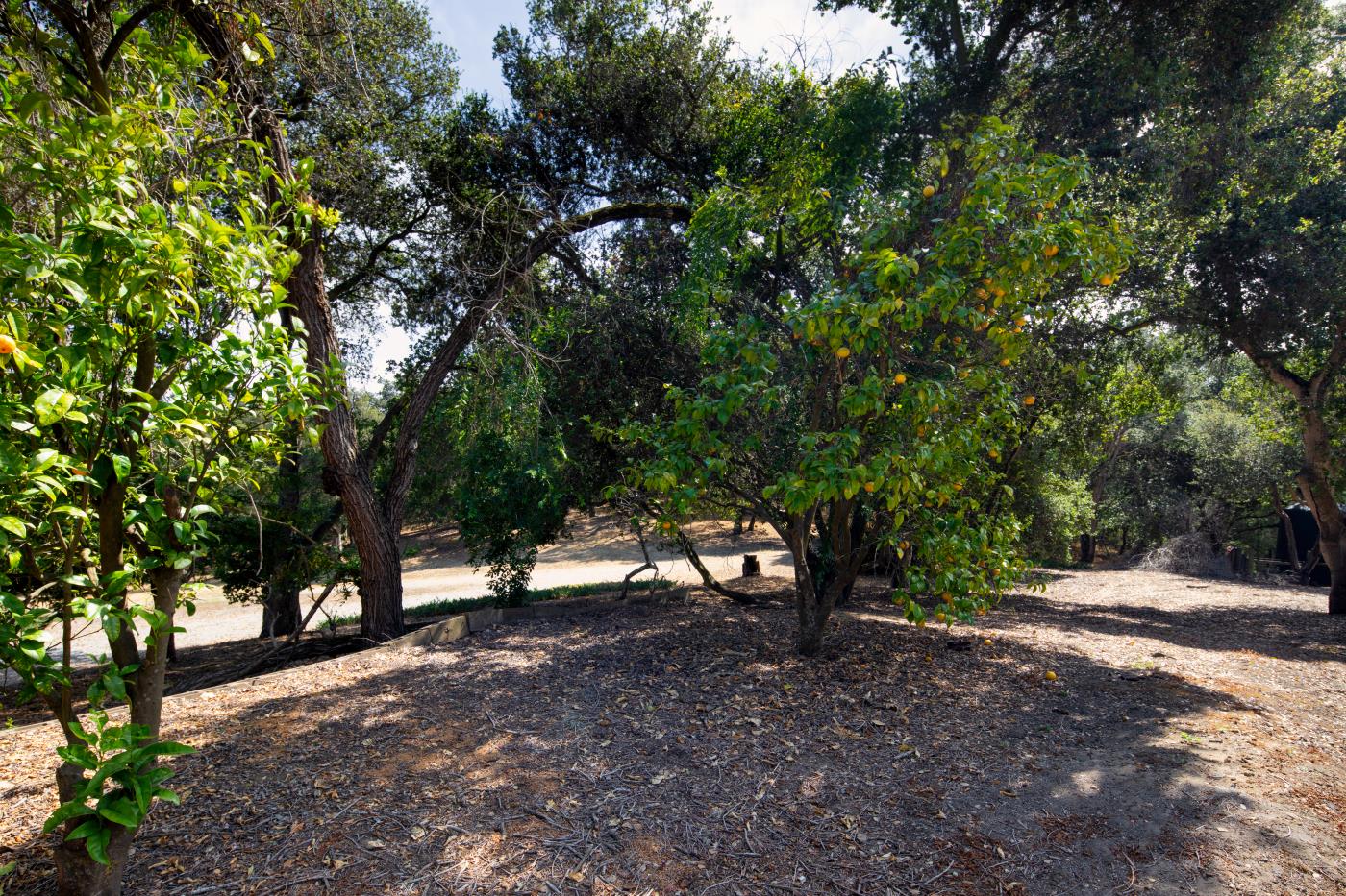 Detail Gallery Image 22 of 43 For 7600 Pine Tree Way, Salinas,  CA 93907 - 3 Beds | 2 Baths