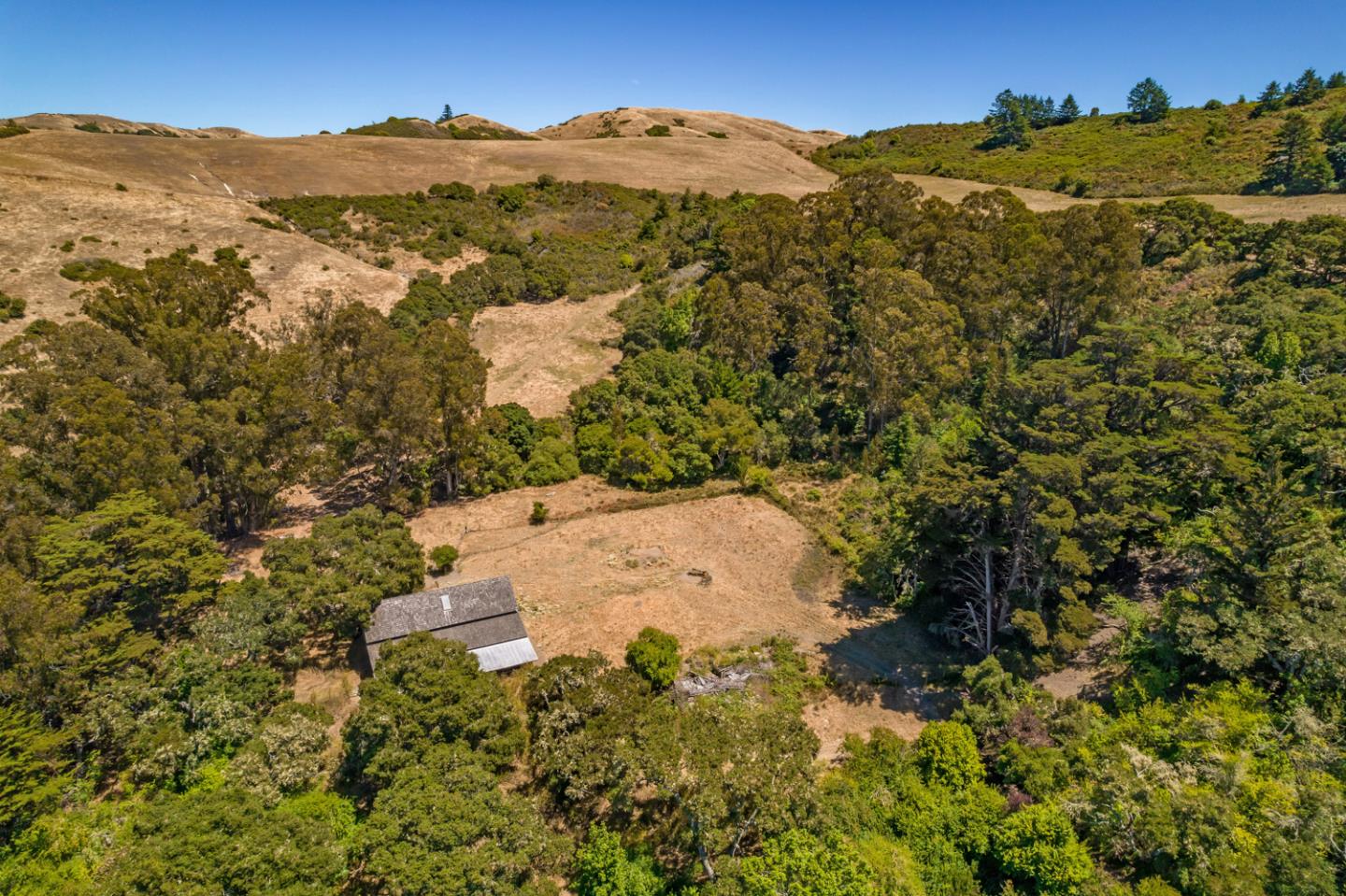Detail Gallery Image 23 of 51 For 1900 Bear Gulch Rd, San Gregorio,  CA 94074 - 13 Beds | 11/1 Baths