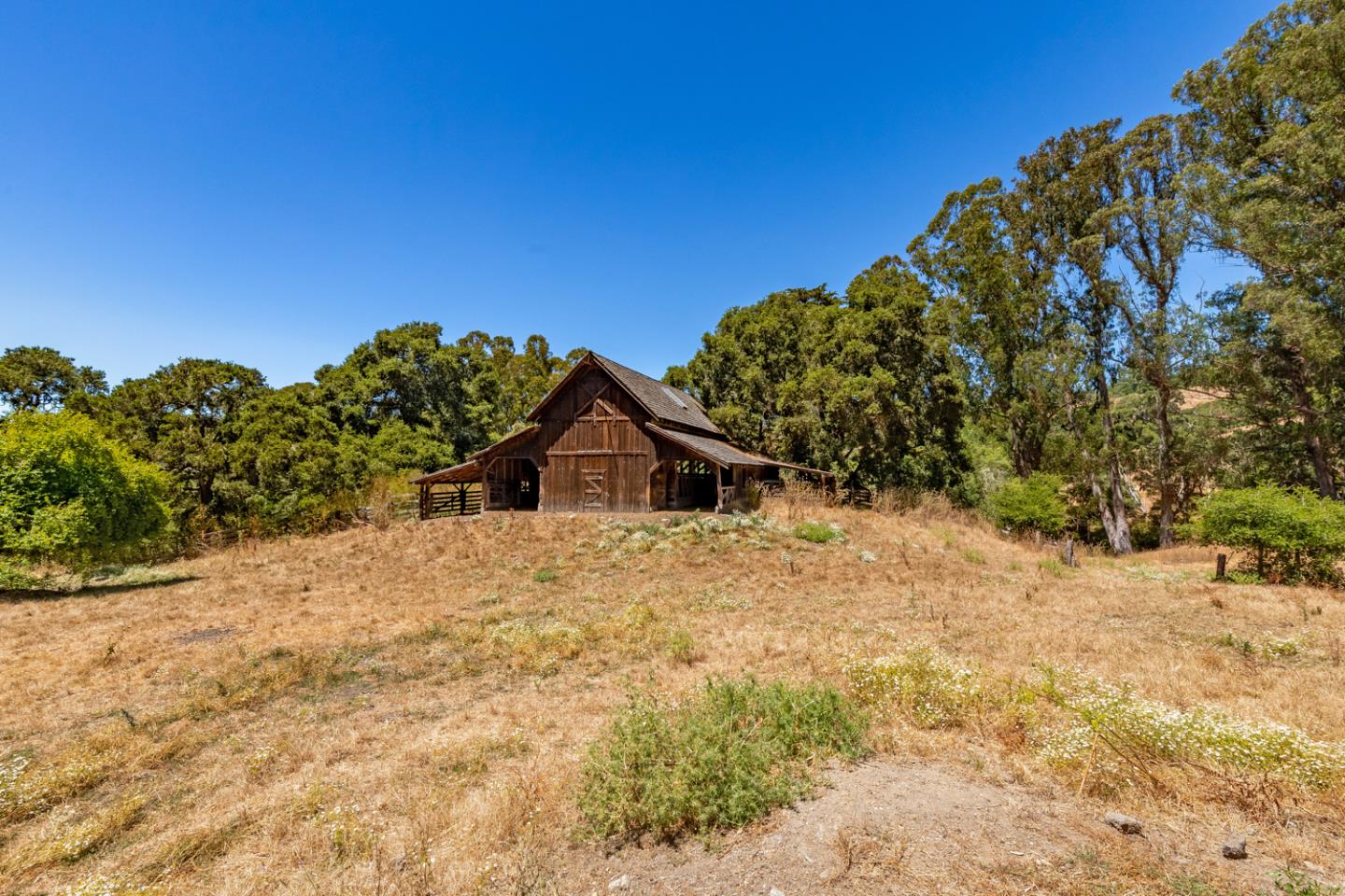 Detail Gallery Image 47 of 51 For 1900 Bear Gulch Rd, San Gregorio,  CA 94074 - 13 Beds | 11/1 Baths