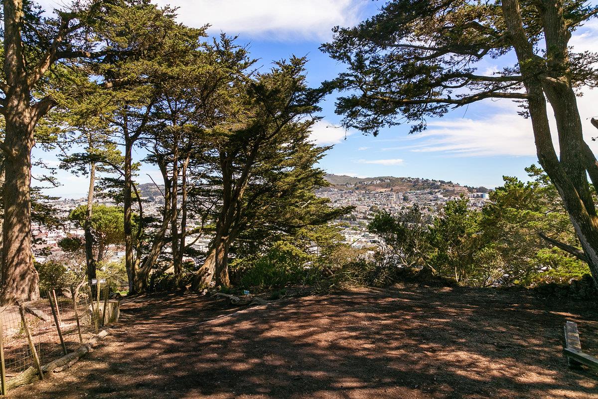 Detail Gallery Image 75 of 87 For 486 Ralston St, San Francisco,  CA 94132 - 4 Beds | 4 Baths