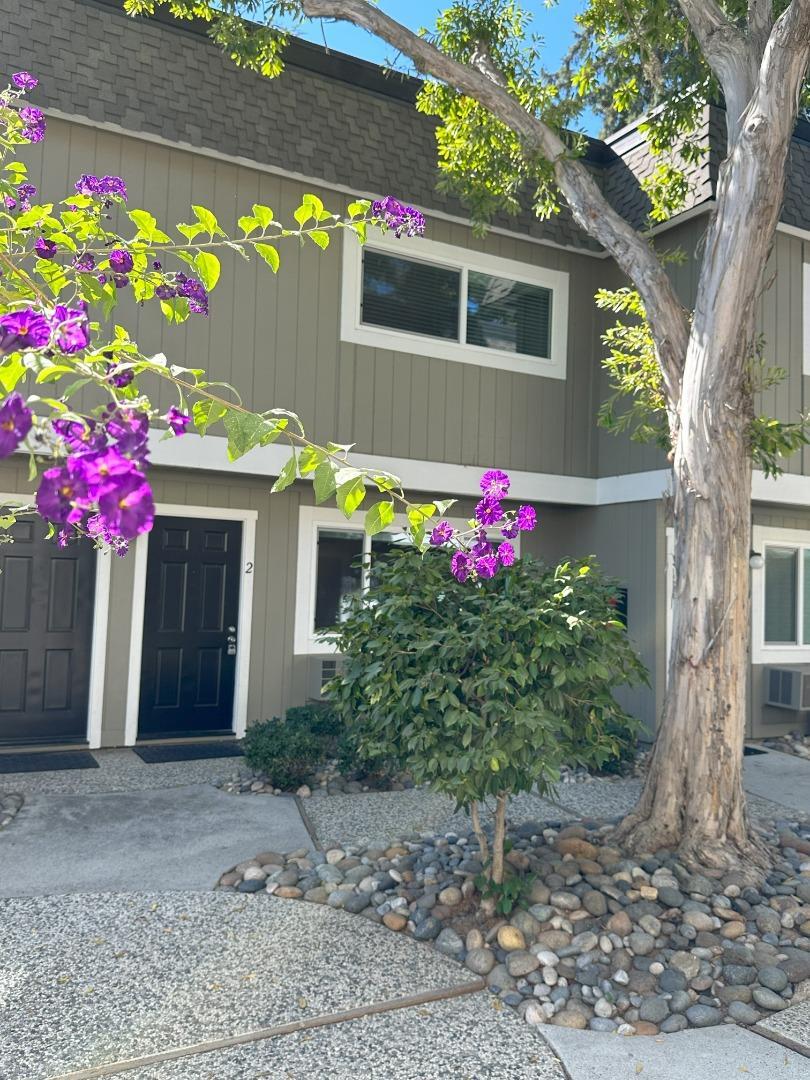 Detail Gallery Image 1 of 1 For 240 Union Ave #2,  Campbell,  CA 95008 - 2 Beds | 2/1 Baths