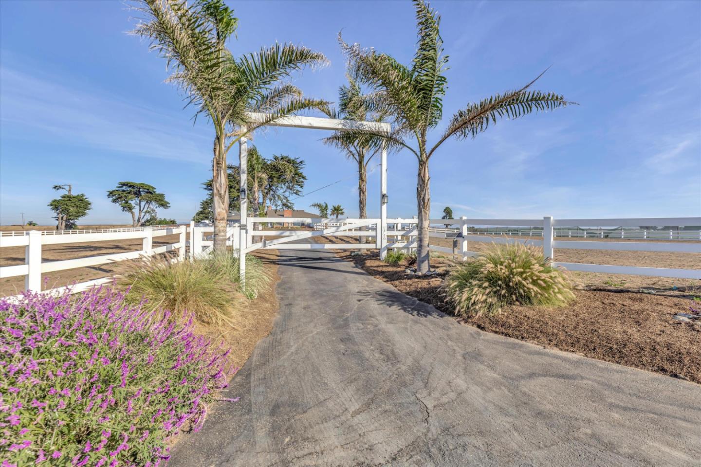 Detail Gallery Image 3 of 62 For 268 Giberson Rd, Moss Landing,  CA 95039 - 5 Beds | 4 Baths