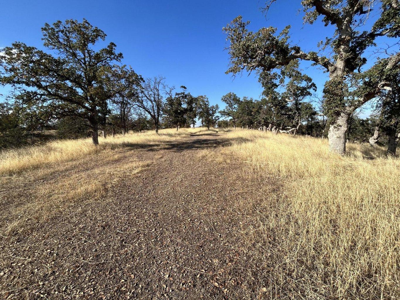 Detail Gallery Image 2 of 4 For 1.66 Acres Knob Hill, Red Bluff,  CA 96080 - – Beds | – Baths