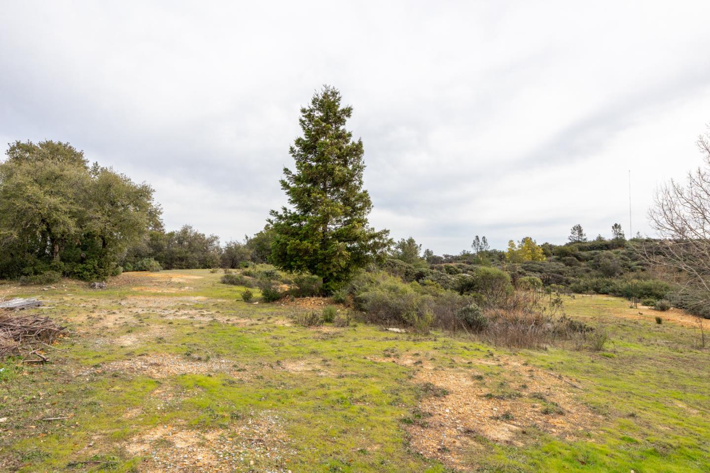 Detail Gallery Image 23 of 26 For 2055 Summit Rd, Watsonville,  CA 95076 - 2 Beds | 1 Baths
