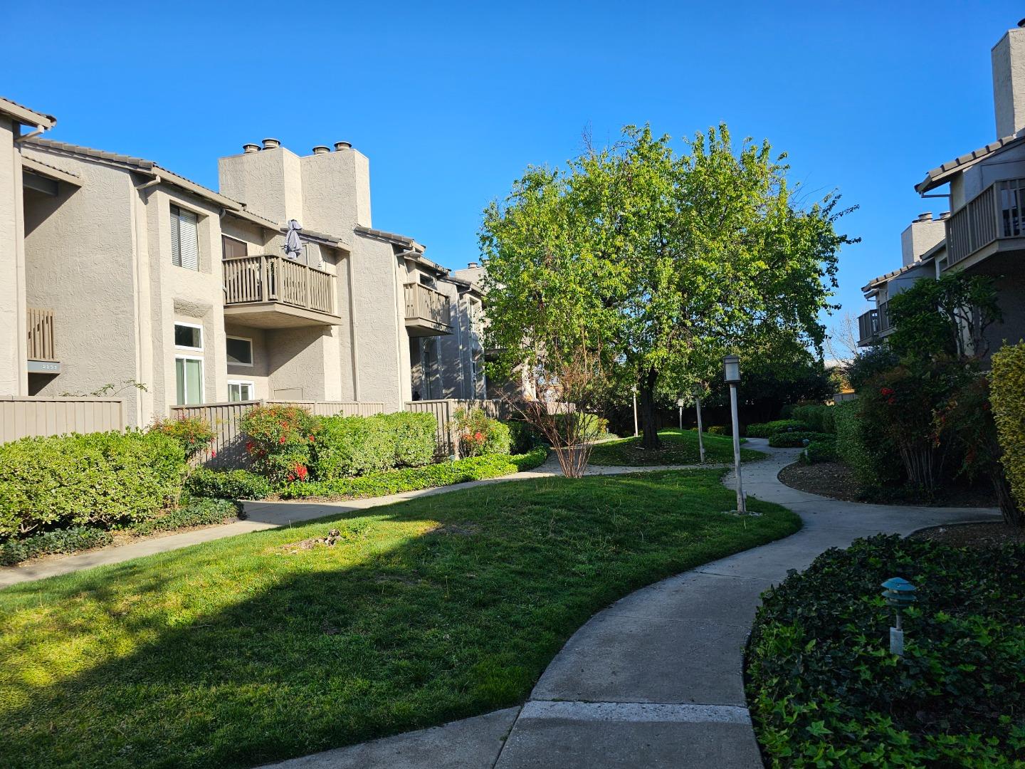 Detail Gallery Image 1 of 9 For 2290 Sun Glory Ln #B,  San Jose,  CA 95124 - 2 Beds | 2 Baths